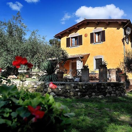 L'Antica Mola Villa Castel Madama Bilik gambar