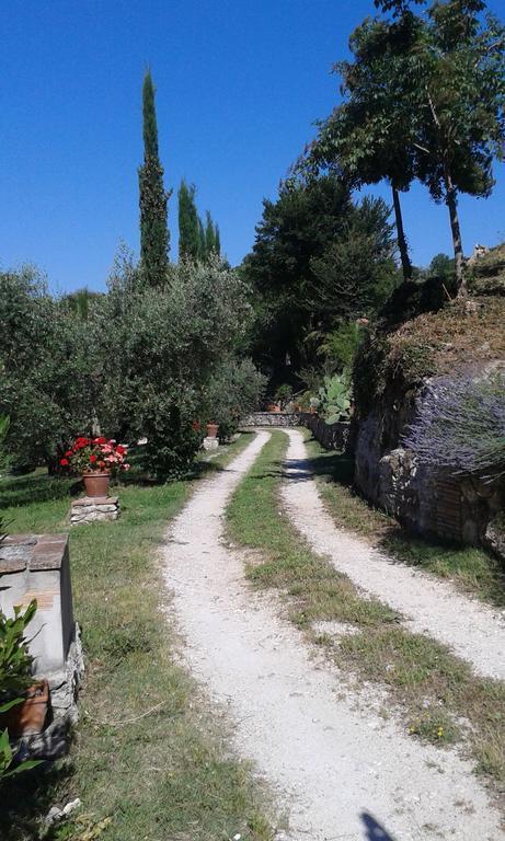L'Antica Mola Villa Castel Madama Bilik gambar