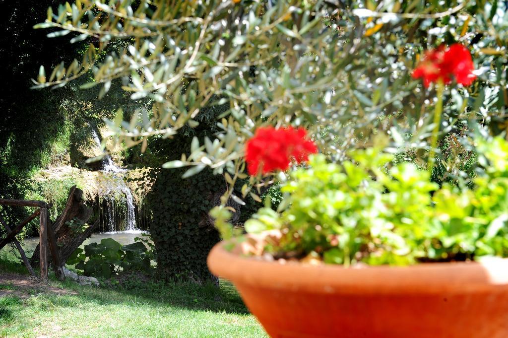 L'Antica Mola Villa Castel Madama Bilik gambar