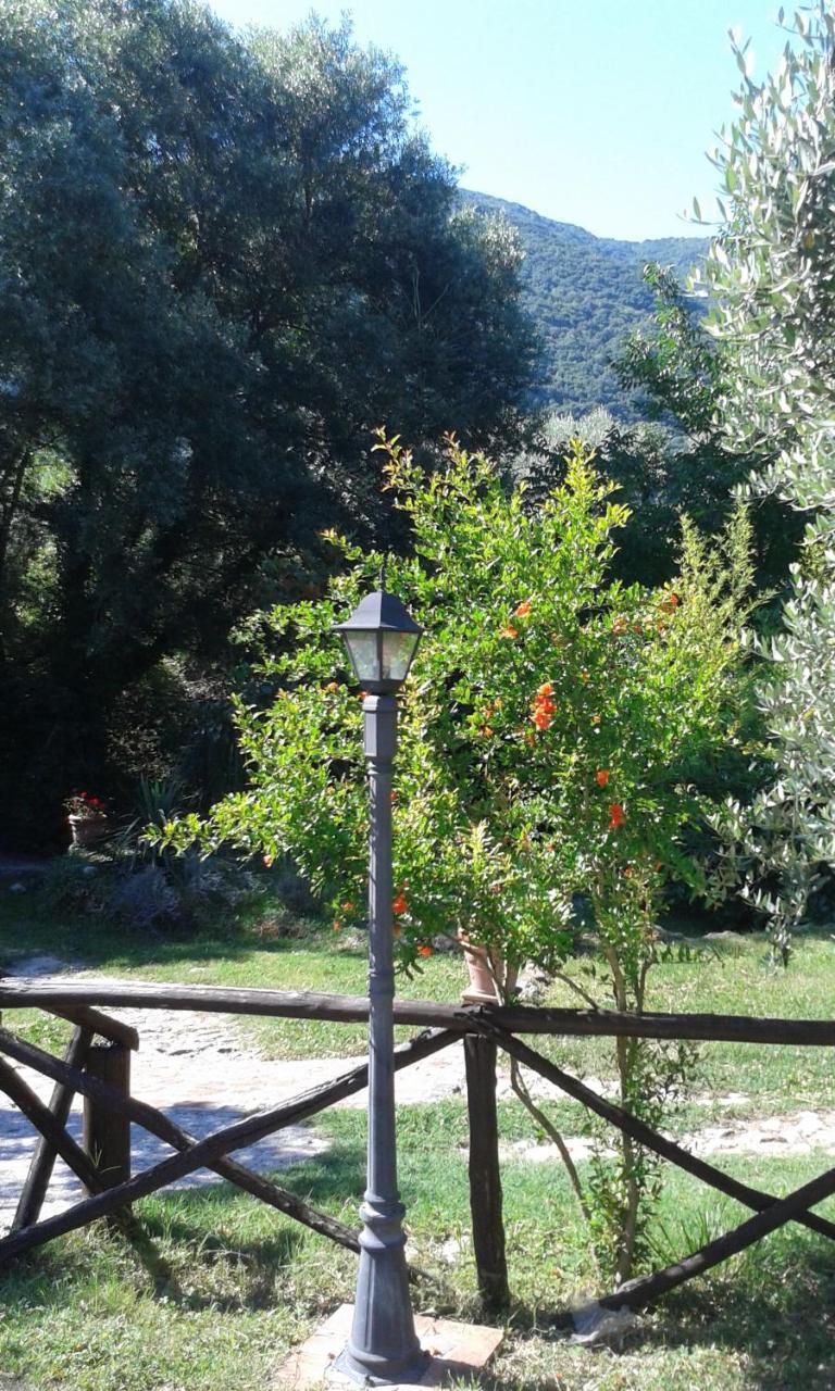 L'Antica Mola Villa Castel Madama Luaran gambar